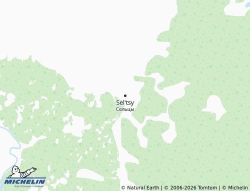 Carte MICHELIN Sel'tsy - ViaMichelin