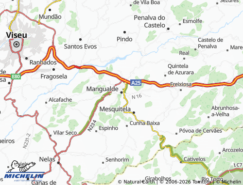 MICHELIN Mangualde map - ViaMichelin