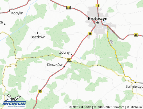 MICHELIN Zduny map - ViaMichelin
