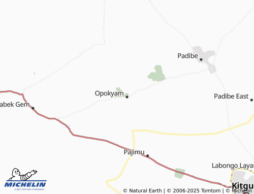 MICHELIN Opokyam map - ViaMichelin