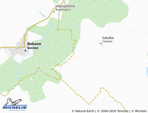 MICHELIN-Landkarte Dubasovo - ViaMichelin