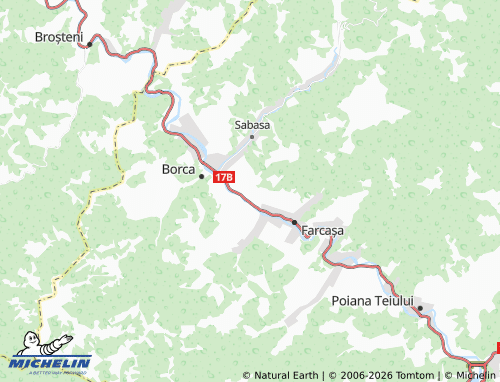 Mappa MICHELIN Pârâul Pântei - ViaMichelin
