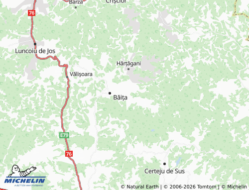 MICHELIN Săliște map - ViaMichelin