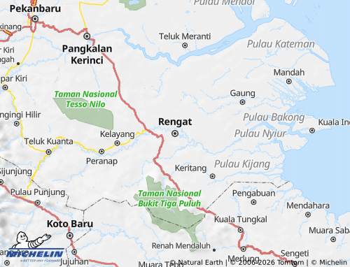 MICHELIN Indragiri Hulu map - ViaMichelin