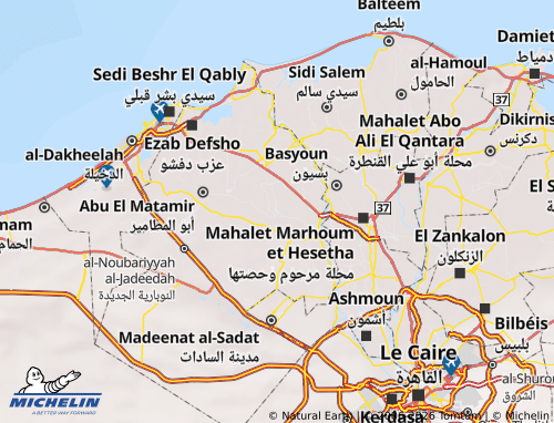 MICHELIN El Delengat map - ViaMichelin