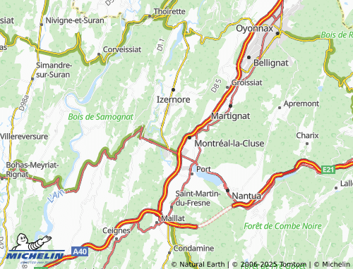 MICHELIN Béard-Géovreissiat map - ViaMichelin