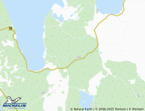 MICHELIN Selgase map - ViaMichelin
