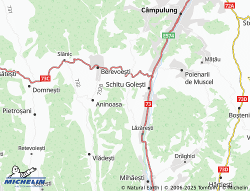 Mappa MICHELIN Cotești - ViaMichelin
