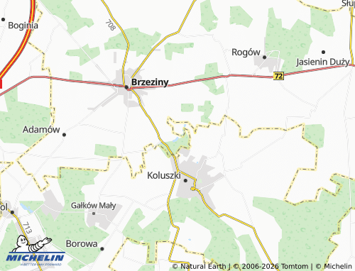 Mapa MICHELIN Rochna - ViaMichelin