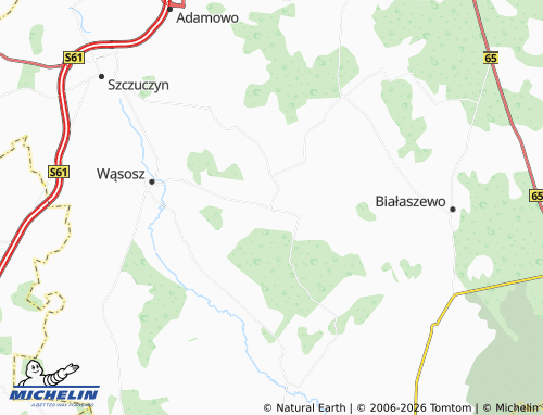 MICHELIN Bagienice map - ViaMichelin