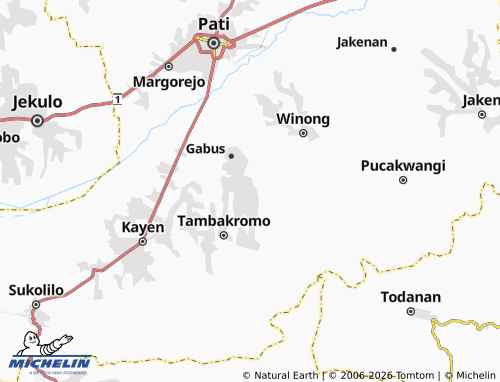 MICHELIN Angkatan Kidul map - ViaMichelin