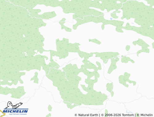 Mappa MICHELIN San Antonio - ViaMichelin