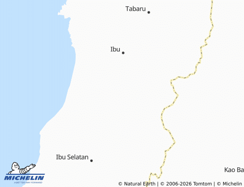 MICHELIN Sarau map - ViaMichelin