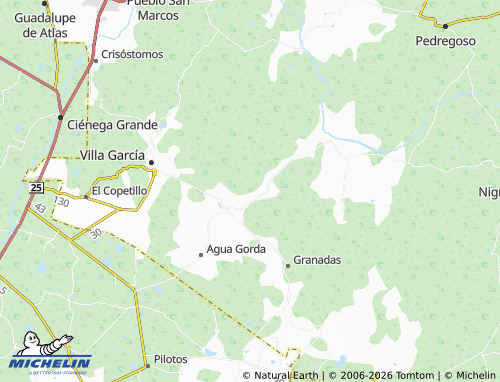 Mappa MICHELIN Emiliano Zapata - ViaMichelin