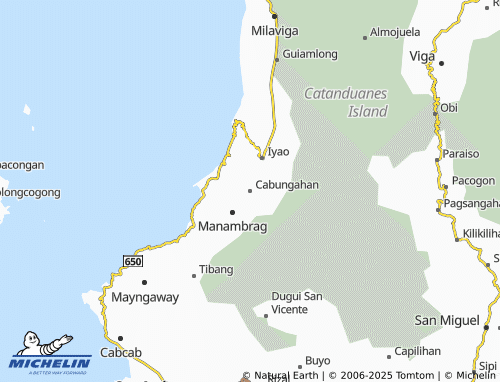 MICHELIN Cabungahan map - ViaMichelin