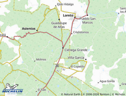 Mappa MICHELIN Ciénega Grande - ViaMichelin