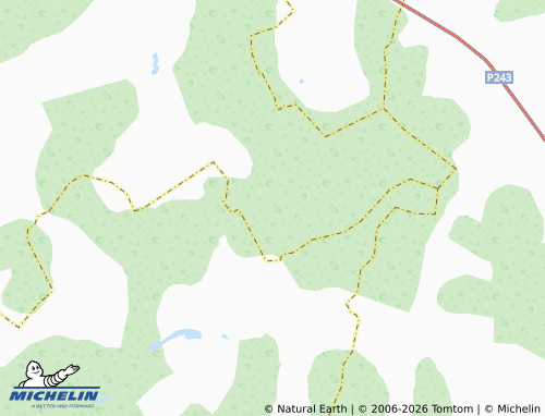 MICHELIN-Landkarte Kungur - ViaMichelin