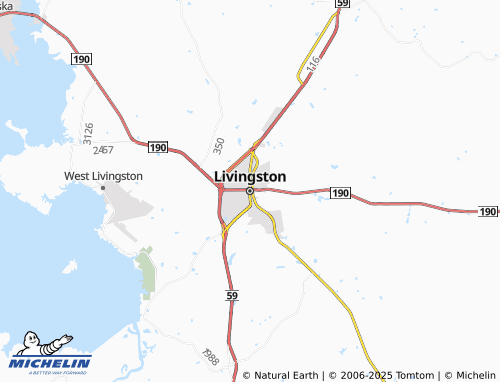 MICHELIN Livingston map - ViaMichelin