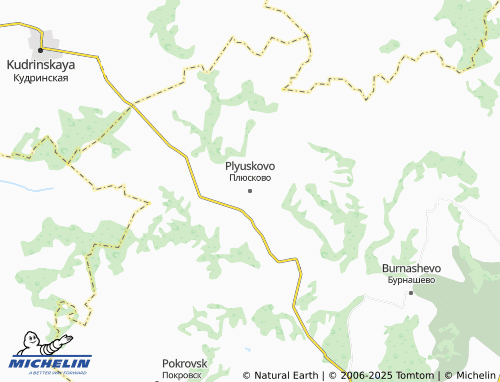 MICHELIN Plyuskovo map - ViaMichelin