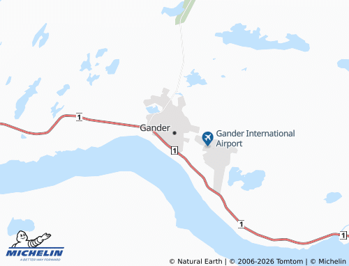 Mappa MICHELIN Gander - ViaMichelin
