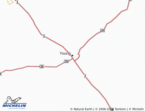 Mappa MICHELIN Young - ViaMichelin