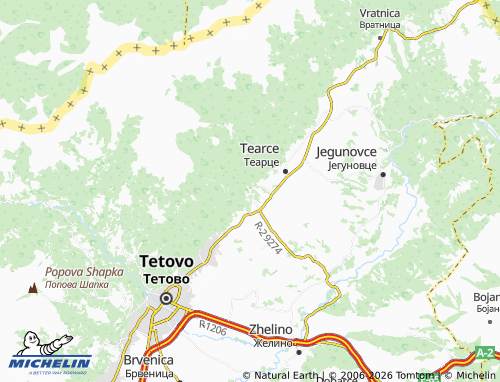 Mapa MICHELIN Leshok - ViaMichelin