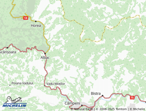 Carte MICHELIN Peste Valea Bistrii - ViaMichelin