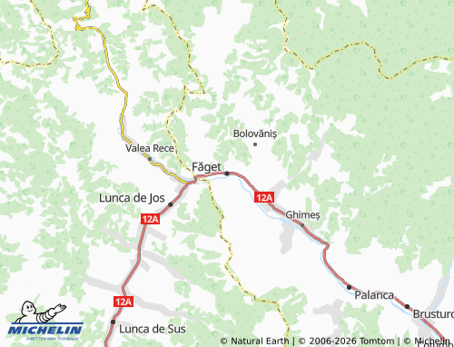 MICHELIN-Landkarte Făget - ViaMichelin