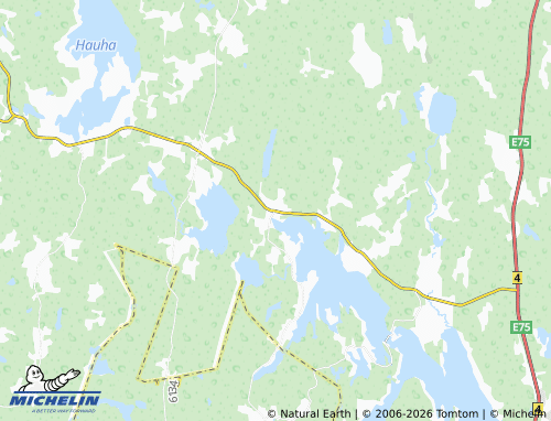 MICHELIN Pappinen map - ViaMichelin