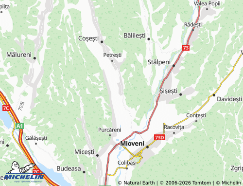 MICHELIN Dârmănești map - ViaMichelin