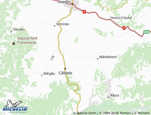 MICHELIN Văleni map - ViaMichelin