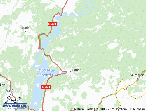 MICHELIN Alique map - ViaMichelin