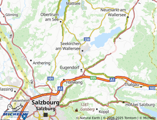 MICHELIN-Landkarte Ried - ViaMichelin