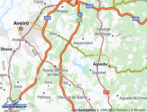 Carte MICHELIN Requeixo - ViaMichelin