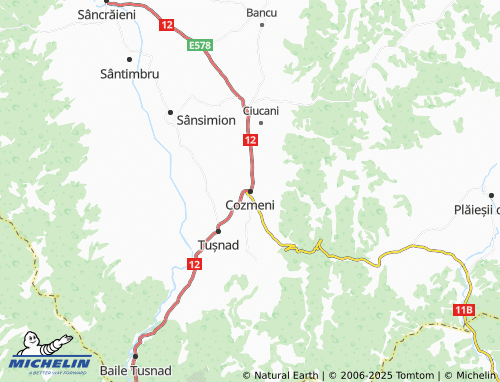 MICHELIN Cozmeni map - ViaMichelin