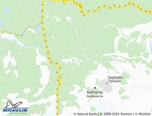 MICHELIN Rynkovtsy map - ViaMichelin