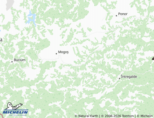 MICHELIN Negrești map - ViaMichelin