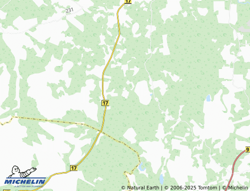 MICHELIN Metslõugu map - ViaMichelin