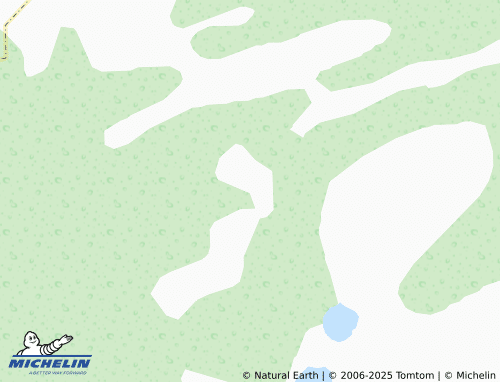 MICHELIN Lesha map - ViaMichelin