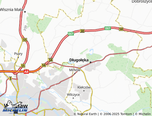 MICHELIN Domaszczyn map - ViaMichelin