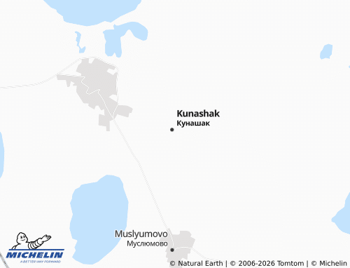 MICHELIN-Landkarte Lesnoy - ViaMichelin