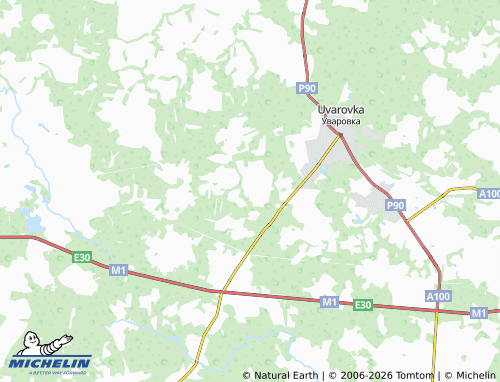 Carte MICHELIN Gridnevo - ViaMichelin