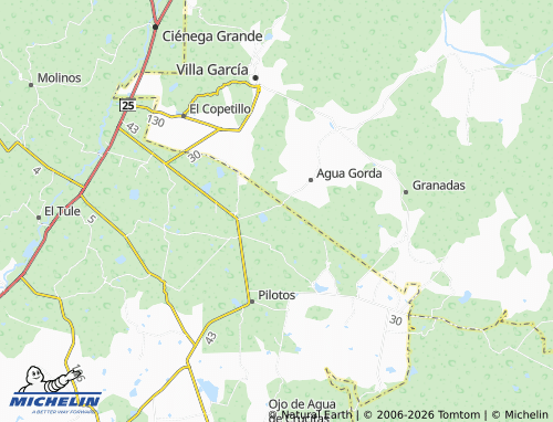 Mappa MICHELIN Colonia Emancipación, Borunda - ViaMichelin