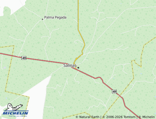 MICHELIN Cinco Esquinas map - ViaMichelin
