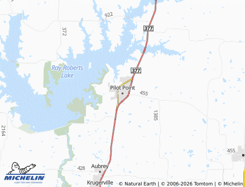 Mappa MICHELIN Pilot Point - ViaMichelin