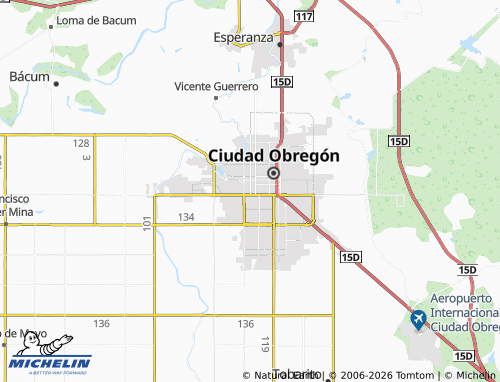 Carte MICHELIN Hidalgo - ViaMichelin