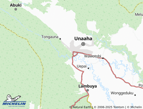 MICHELIN Puunaaha map - ViaMichelin
