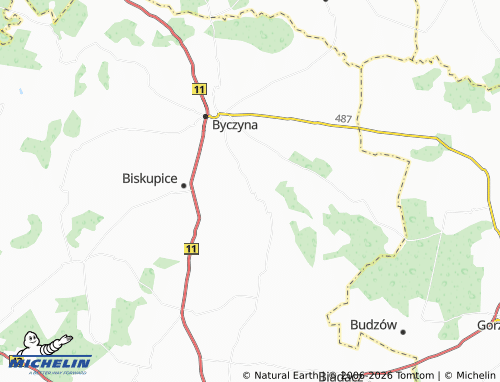 MICHELIN Paruszowice map - ViaMichelin