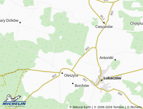 MICHELIN Futory map - ViaMichelin