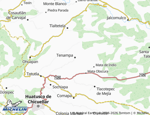 Mapa MICHELIN Tenampa - ViaMichelin